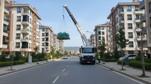 Ağaoğlu My Country Vinç Kiralama