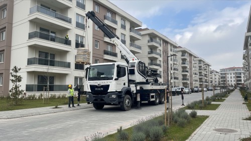 Sur Yapı Lavender Vinç Kiralama